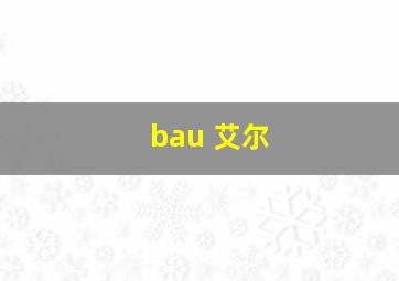 bau 艾尔